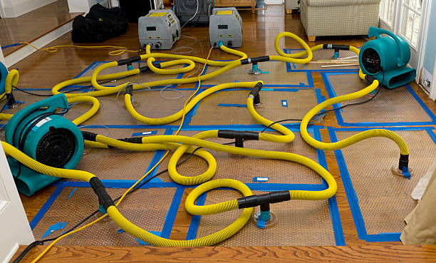 Professional Basement Flood Cleanup technician working in Bellaire, OH